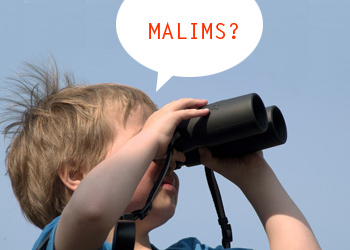 looking for malims
